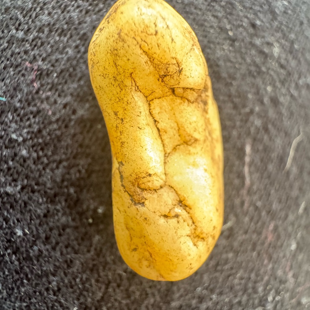 A rock with a story, beautiful vining